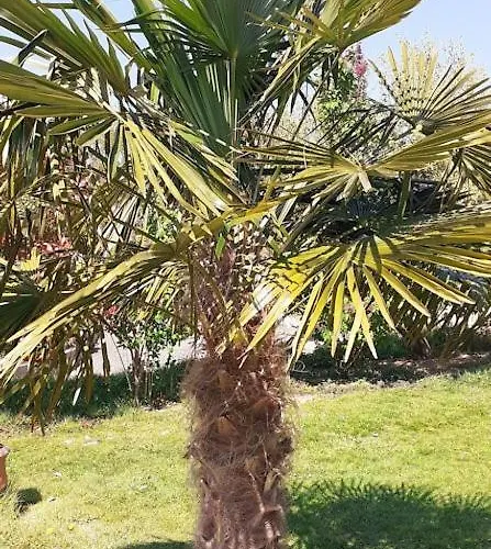 La Bergeronnette Doudelainville